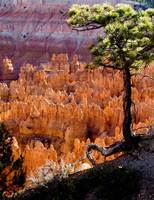 276: Bryce-Canyon-6273.jpg