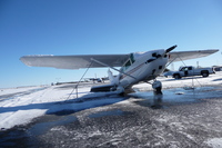 951: snow170.jpg