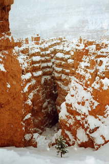 Bryce Canyon 1991