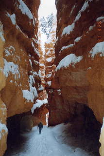 Bryce Canyon 1991 -- Adam