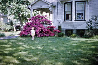 Philip E. Rosenberg slides -- Adam and Betsy