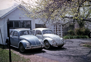 Philip E. Rosenberg slides -- two Volkswagon beetles