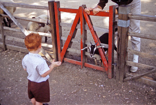 Philip E. Rosenberg slides -- Gloria, Betsy, Adam