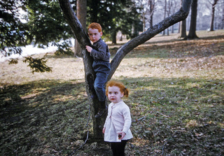 Philip E. Rosenberg slides -- Adam and Betsy