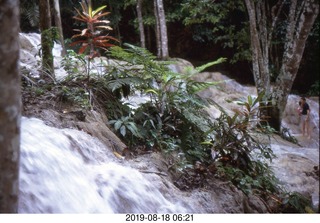 Philip E. Rosenberg slides -- Jamaica - Downs River Falls