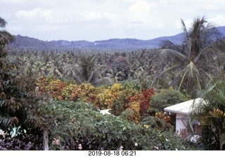 Philip E. Rosenberg slides -- Jamaica