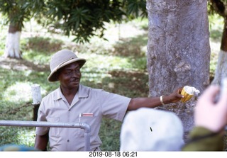 Philip E. Rosenberg slides -- Jamaica