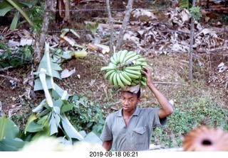 Philip E. Rosenberg slides -- Jamaica