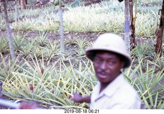 Philip E. Rosenberg slides -- Jamaica