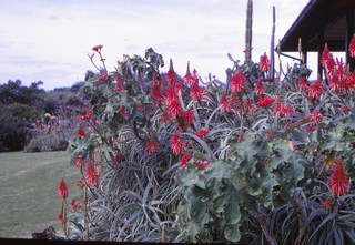 Philip E. Rosenberg slides - Hawaii