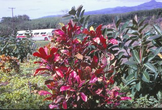 Philip E. Rosenberg slides - Hawaii