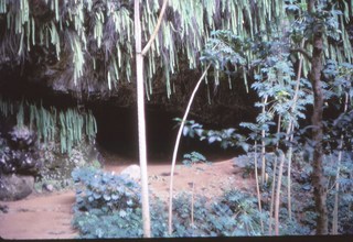 Philip E. Rosenberg slides - Hawaii