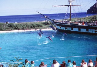 Philip E. Rosenberg slides - Hawaii