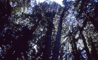 Philip E. Rosenberg slides - aerial mountains