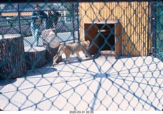 web shadows at Expo 67