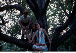 Adam and Betsy and Gloria in a tree