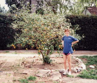 114 0w1. Pasadena -- lemon tree Megan Donahue