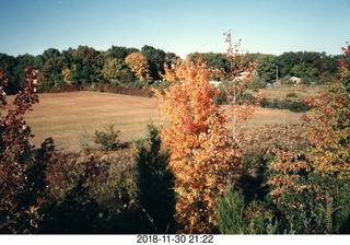 New Jersey - Monmouth County cross country - autumn color