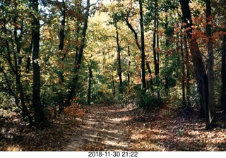 New Jersey - Monmouth County cross country - autumn color