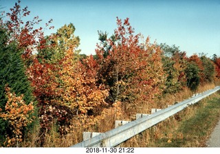 New Jersey - Monmouth County cross country - autumn color