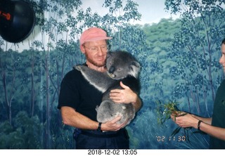 Australia  - Adam - Koala bear - cute