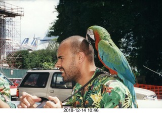 Philip E. Rosenberg slides -- Hawaii - flamingo birds`