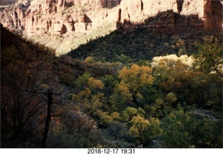 Zion autumn