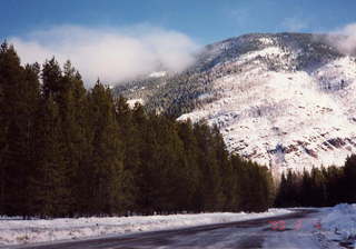 177 141. Glacier National Park roadway with trees