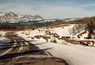 183 141. Glacier National Park valley road