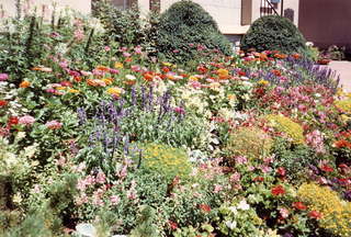 222 171. Flowers in Salt Lake City