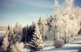 372 1n1. Icebox days -- cold Rainy River