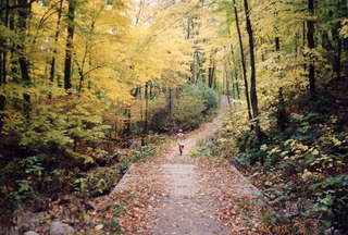 WARR, another beautiful trail in Gatineau