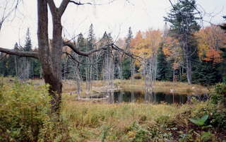 WARR, Gatineau overlook