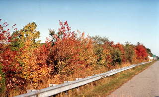 Road at IIT