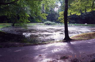 560 2e1. CHS XC 1996 -- Curtis Arboretum