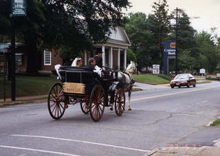 Honeymoon couple in a carriage
