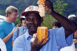 769 2ws. native chocolate in Guateloupe