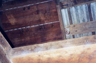 770 2ws. Bats in the belfry in Guadeloupe