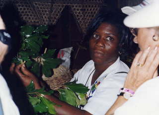 771 2ws. Plants in Guadeloupe