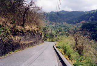 772 2ws. Mountain road in Guadeloupe
