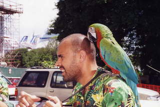 Puerto Rico - birds guy