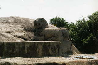 India Tiger Cave