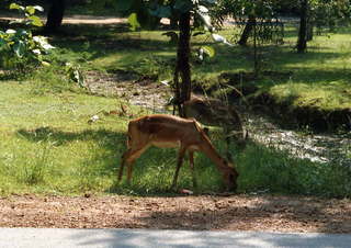 India - Madras - IIT - Satish