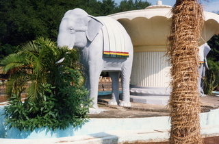 Satish Satish wedding Geeta wedding in Madras, India - elephant statue at IIT Madras