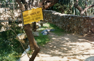 33 35o. Satish-Geeta wedding in Madras, India - crocodile farm warning sign