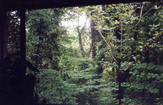 1100 4a1. 4141 Oak Forest window view