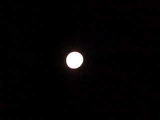 Honeymoon couple in a carriage