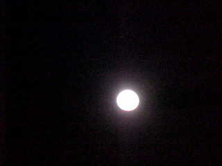 Full moon