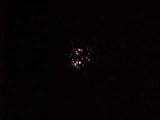 Full moon behind lots of leaves