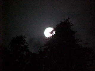 Full moon